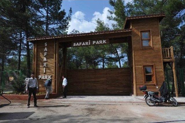 Türkiye’nin İlk Safari Parkı Açılıyor