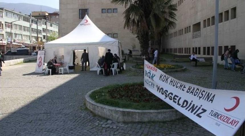 K&ouml;k H&uuml;cre M&uuml;racaatında Rekor