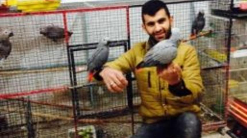 Kaybolan Papağanı Bulana 500 Lira &Ouml;d&uuml;l Verecek