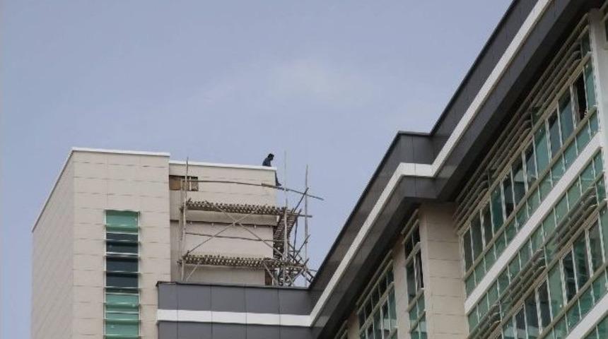 Elektrik Borcunu &Ouml;deyemediğini İddia Eden Şahıs, Binaya &Ccedil;ıkıp Atlamak İstedi
