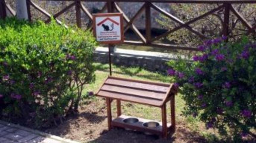 Sokak Hayvanlarına Yeni Beslenme &Uuml;niteleri