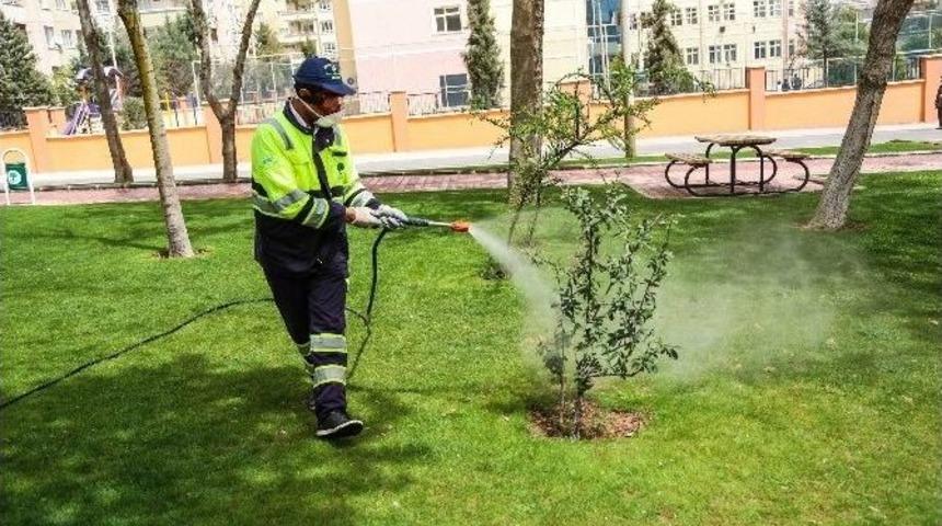 Şehitkamil Belediyesi, Ağa&ccedil;larda İla&ccedil;lama &Ccedil;alışması Başlattı