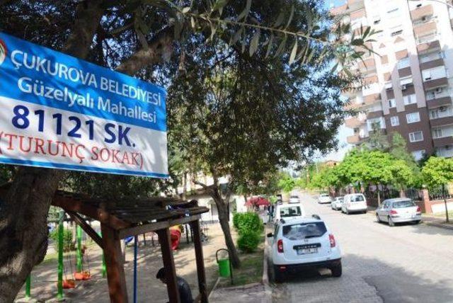 Narenciye Kenti Adana da Sokaklara Portakal, Limon, Turun&ccedil; Isimleri Verildi 3