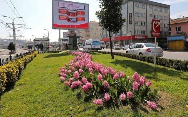 Bahar Güngören’e Renk Getirdi