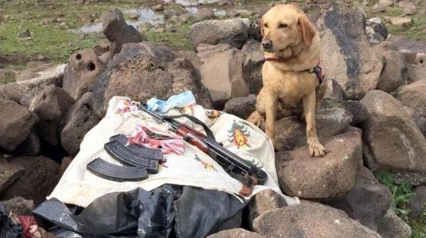 Kan Davalı Aşiretlerin Araziye G&ouml;md&uuml;ğ&uuml; Silah Ve M&uuml;himmat Bulundu