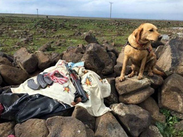 Kan Davalı Aşiretlerin Araziye G&ouml;md&uuml;ğ&uuml; Silah Ve M&uuml;himmat Bulundu 1