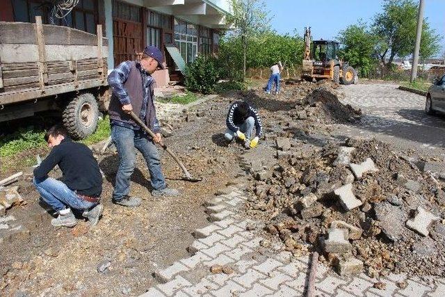 Ak&ccedil;akoca&rsquo;da Kilit Parke &Ccedil;alışmaları Hızlandırıldı 1