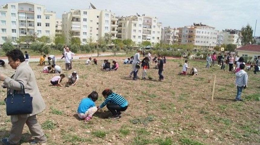 Didim Mahir &Ouml;zg&uuml;r Damar&rsquo;da Bir Mezun Bir Fidan Ş&ouml;leni