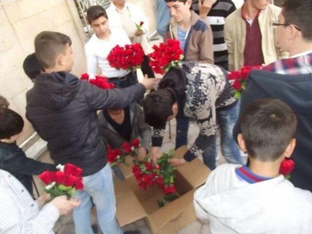 Ülkü Ocakları Kutlu Doğum Haftası Sebebiyle Gül Dağıttı 1