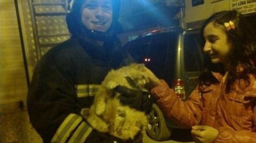 İtfaiyeden Kedi Kurtarma Operasyonu