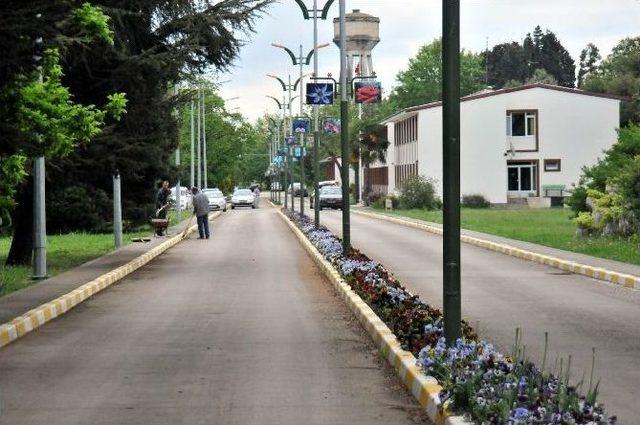 D&uuml;nyanın En B&uuml;y&uuml;k Geofit Bah&ccedil;esi Susuzluktan Kuruyacaktı 1