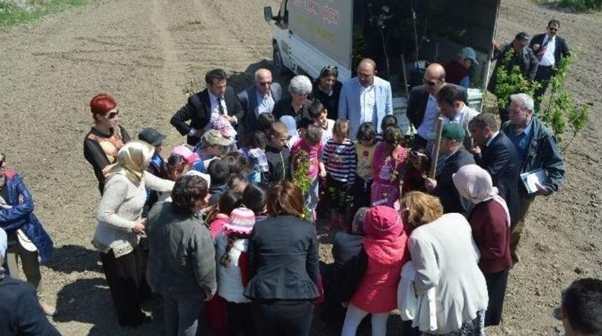 S&ouml;ke&rsquo;de Her &Ccedil;ocuğun Bir Meyve Ağacı Olacak