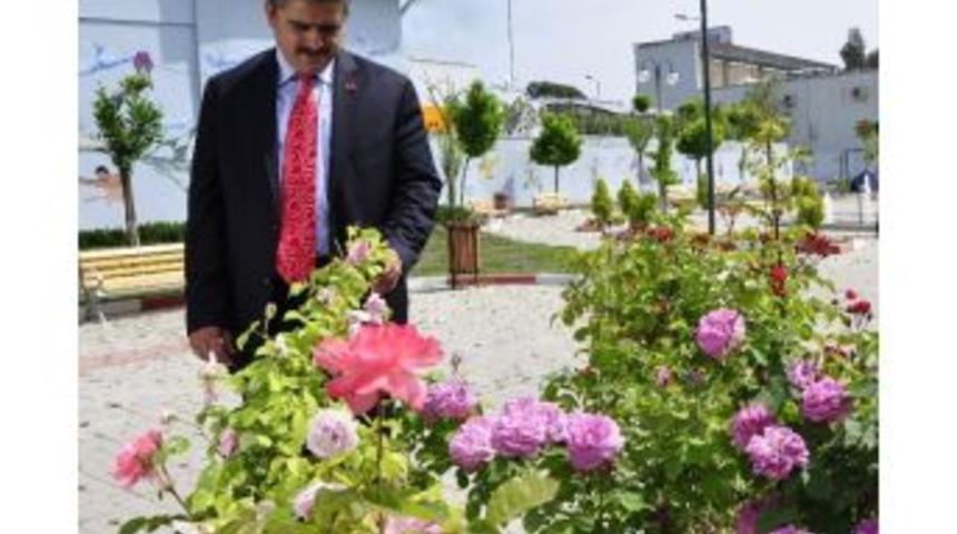 Başkan Haluk Alıcık&rsquo;ın Berat Kandili Mesajı