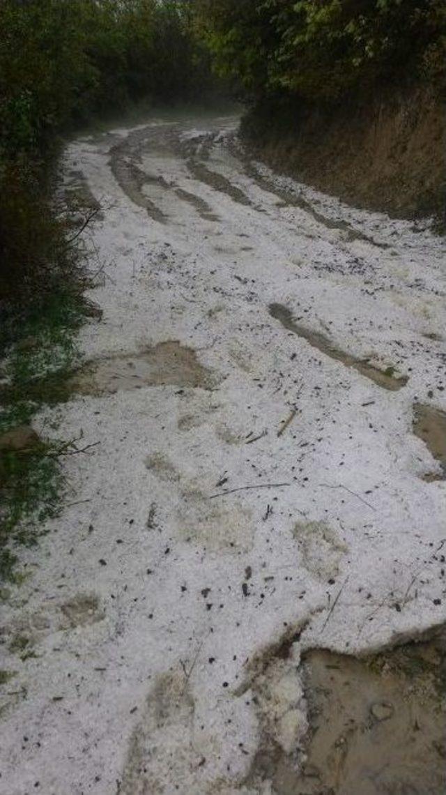 Osmaniye’de Dolu Yağışı Ekili Alanlara Zarar Verdi 1