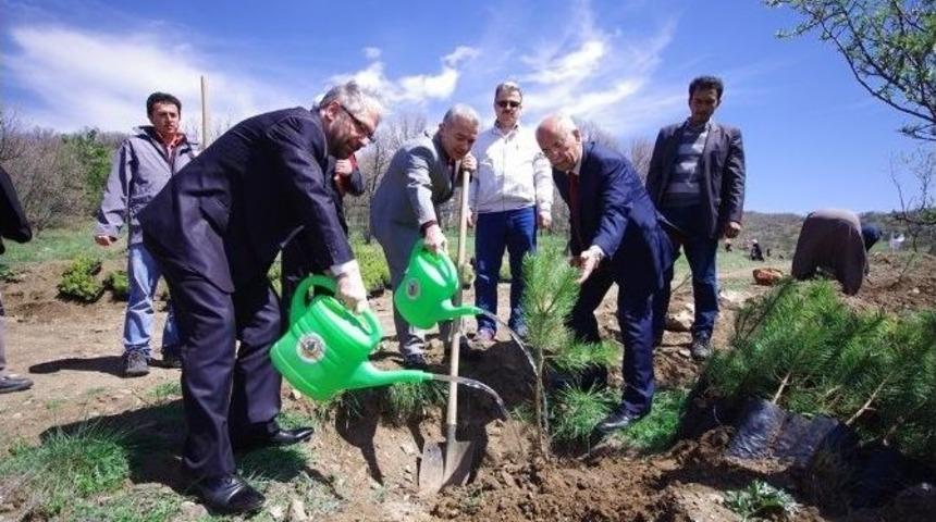 10 Bin Fidan Toprakla Buluştu