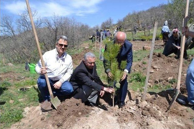 10 Bin Fidan Toprakla Buluştu