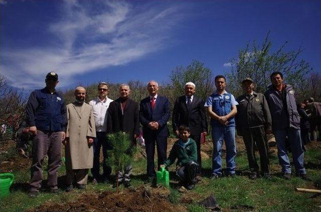 10 Bin Fidan Toprakla Buluştu