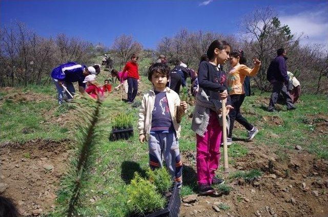 10 Bin Fidan Toprakla Buluştu