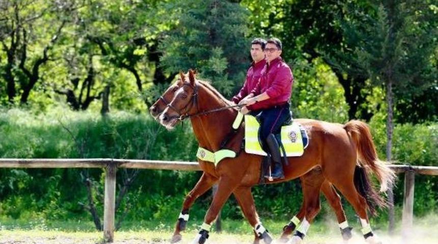Polis Atlarına Y&uuml;ksek Sese Karşı Davullu Eğitim