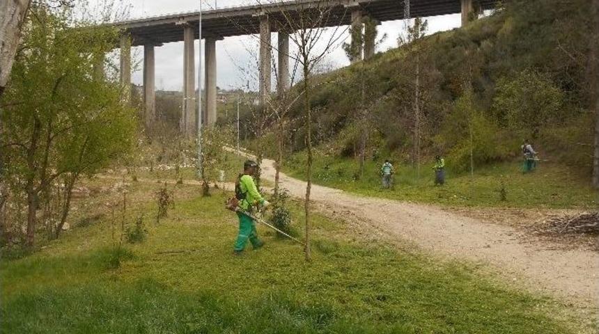 Cephanelik Mesire Alanında Bakım Yapıldı