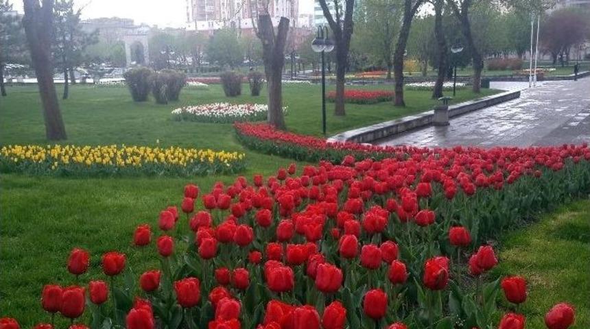 Kayseri Lalezar&rsquo;a D&ouml;nd&uuml;