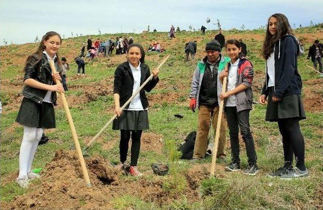 Gölbaşı’nda Hedef 15 Bin Fidan