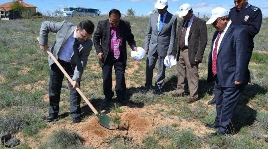 Kulu&rsquo;da 16 Bin 600 Fidan Toprakla Buluşturuldu