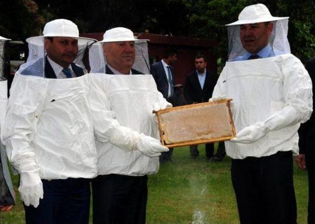 Mhp'li Başkan Sözlü: Genel Başkanımız Bu Balı Yediğinde Iktidarı Yerle Bir Eder