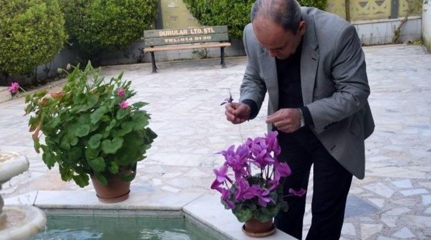 İmamın &Ccedil;i&ccedil;ek Merakı