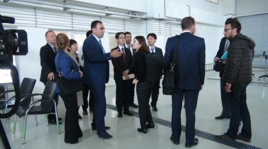 Japon Heyetinden Kilis'te Zeytinyağı Incelemesi