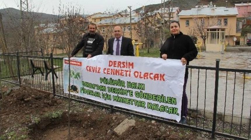 Bursa&rsquo;dan Tunceli&rsquo;ye 20 Bin Fidan