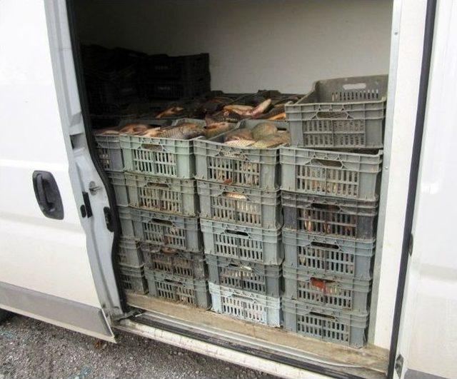 Jandarmadan &ldquo;sazan&rdquo; Operasyonu 1