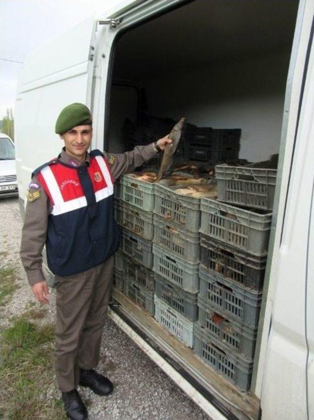 Jandarmadan &ldquo;sazan&rdquo; Operasyonu 2