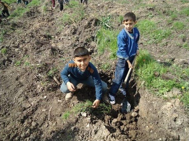 Öğrenciler Yeşil Bir Yunusemre İçin Fidan Dikti