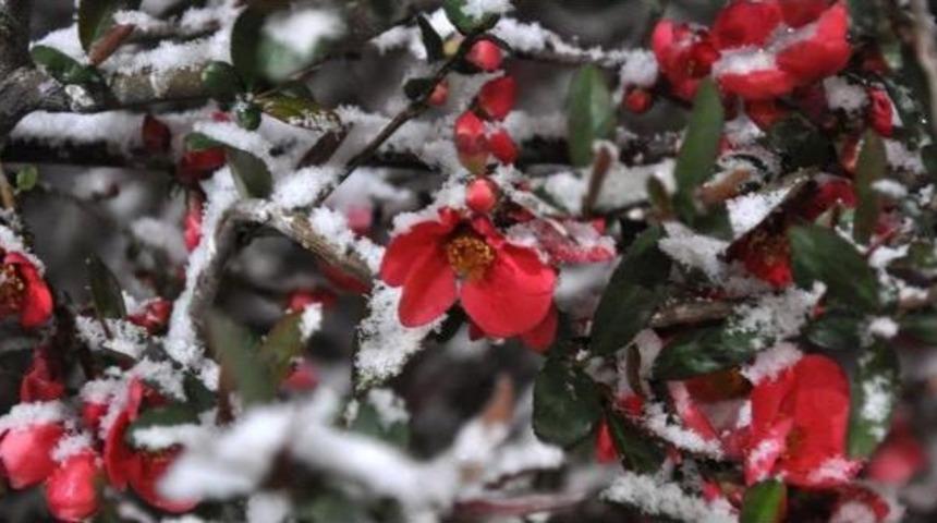 Nisan Ayında Yağan Kar Sivaslıları Şaşırttı