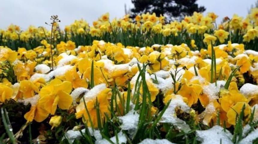 Kayseri&rsquo;Ye Kar Yağdı