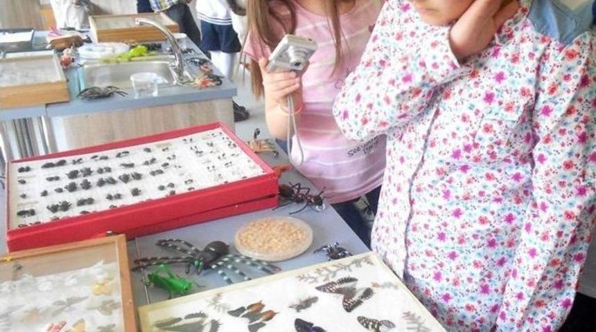 &Ccedil;ocuklara B&ouml;ceklerin &Ouml;nemi Anlatıldı