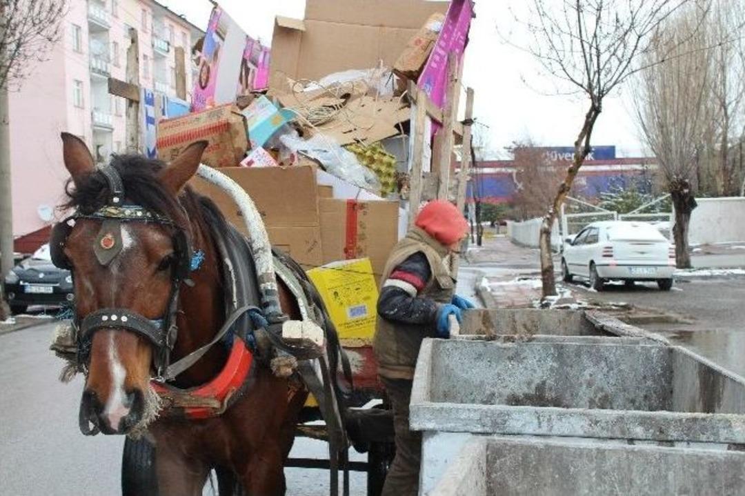 (&ouml;zel Haber) Arkadaşları Eğlenirken Soğuk Havada Kağıt Topladı