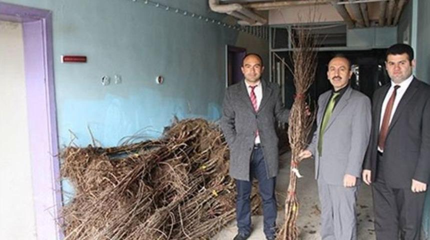 Gıda, Tarım Ve Hayvancılık M&uuml;d&uuml;rl&uuml;ğ&uuml; Fidan Dağıttı