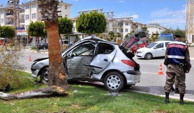 Otomobil Ağaca Çarptı, Sürücü Öldü