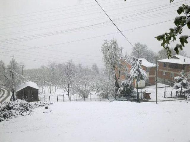 Ordu'da Yükseklere Kar Yağdı