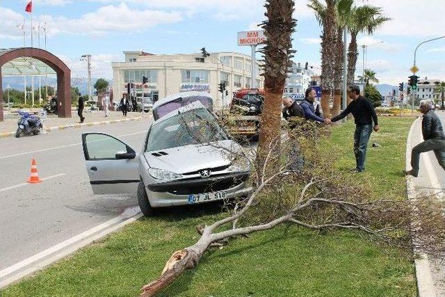 Antalya’da Otomobiliyle Orta Refüjdeki Ağaca Çarpan Sürücü Hayatını Kaybetti