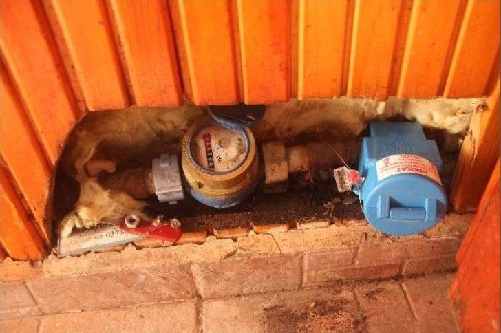 Avukat Yürütmeyi Durdurma Kararı Aldı G1