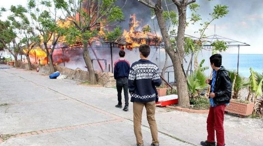 Konyaaltı Sahilinde İki Kamelya Alev Alev Yandı