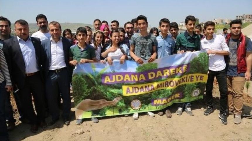 Eski Kum Ocağı Alanına 600 Fidan Dikildi
