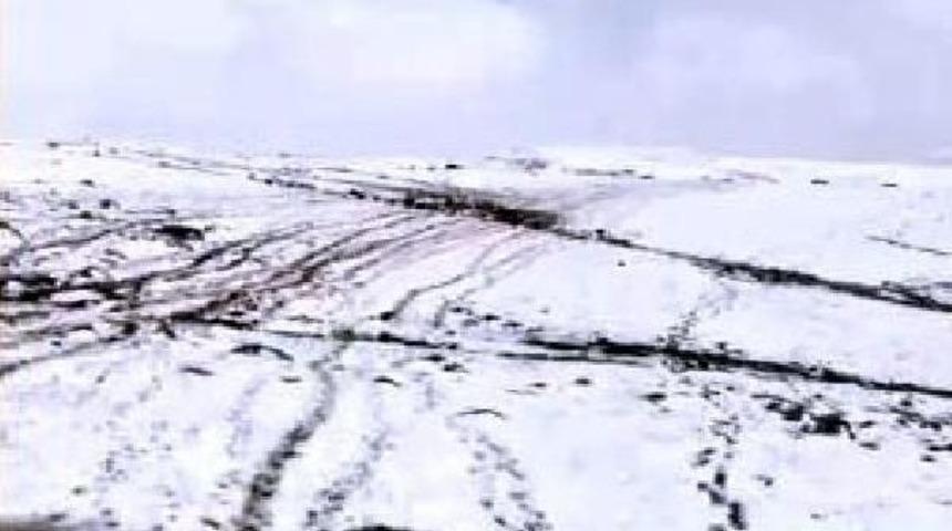 Ağrı'da Domuz S&uuml;r&uuml;s&uuml;n&uuml;n K&uuml;&ccedil;&uuml;kbaş Hayvanlara Zarar Vermesini &Ccedil;obanlar &Ouml;nledi