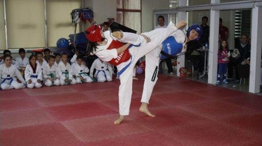 Taekwondocular Hazırlıklarını S&uuml;rd&uuml;r&uuml;yor
