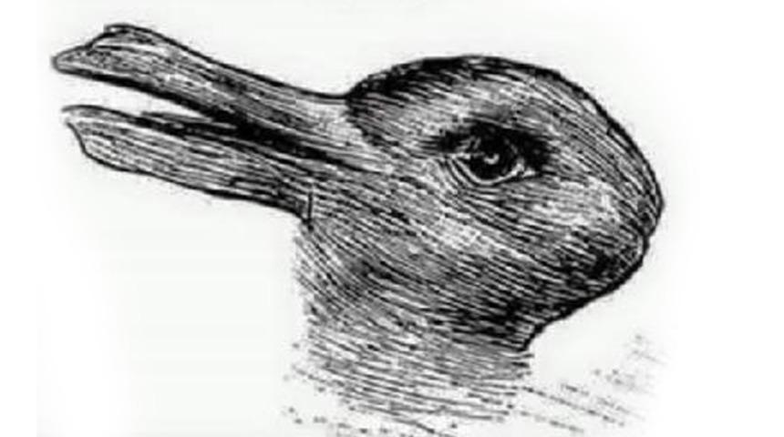 Resimde hangi hayvanı g&ouml;r&uuml;yorsunuz?