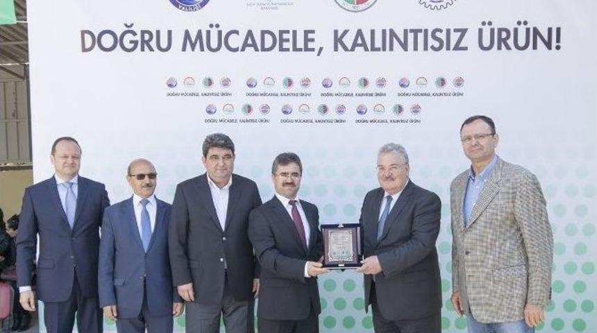 Mersin Biberine Sahip &Ccedil;ıkıyor