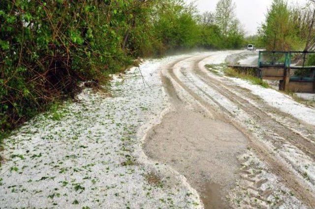 Dolu, Osmaniye'de 42 Bin 500 Dekar Ekili Araziye Zarar Verdi